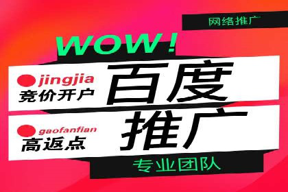 竞价开户推广策略案例分析
